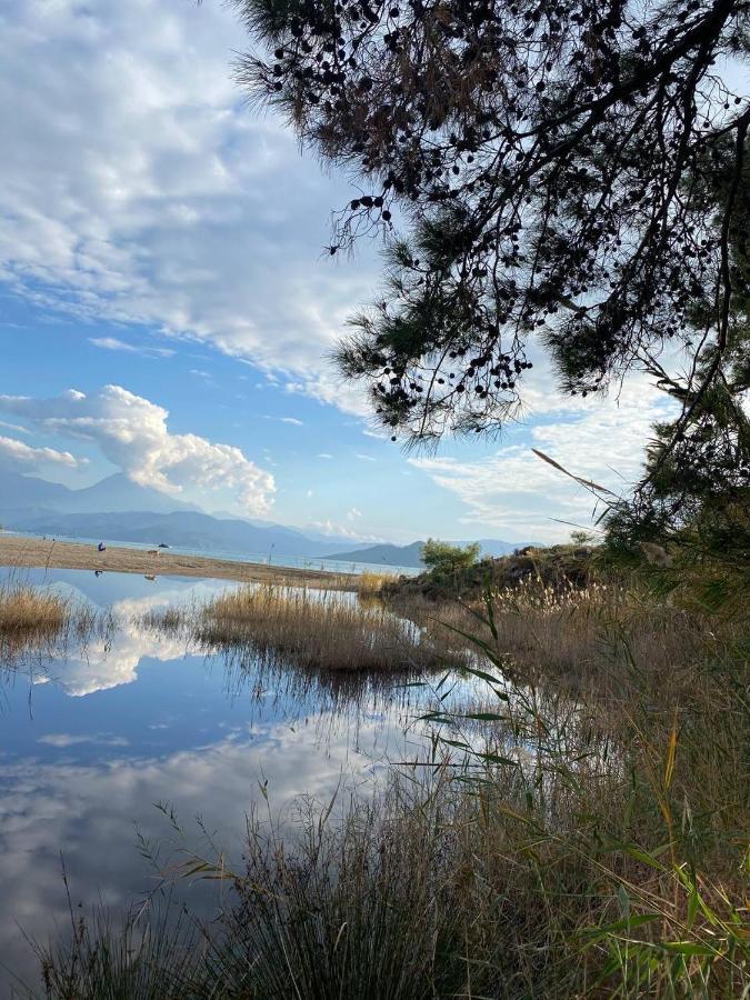 Zirkon Doga Butik Otel Fethiye Luaran gambar