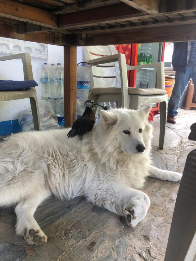 Zirkon Doga Butik Otel Fethiye Luaran gambar