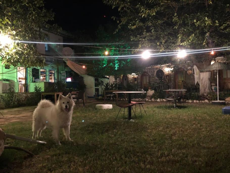 Zirkon Doga Butik Otel Fethiye Luaran gambar