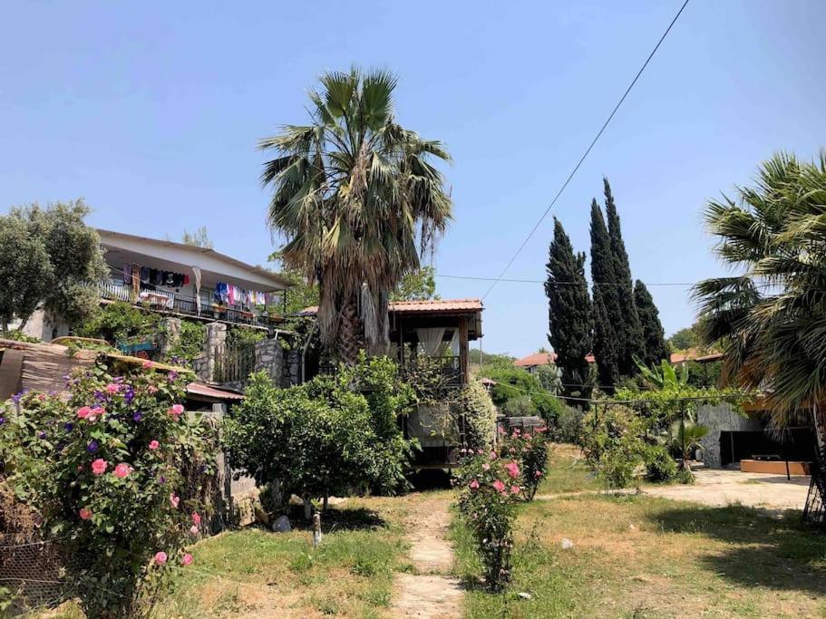Zirkon Doga Butik Otel Fethiye Luaran gambar